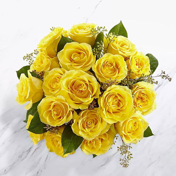 اشتراک گل رز هلندی زرد