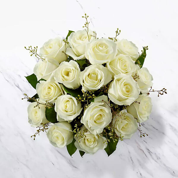 اشتراک گل رز هلندی سفید