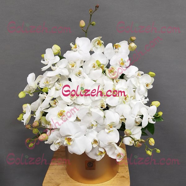 باکس گل ارکیده طبیعی