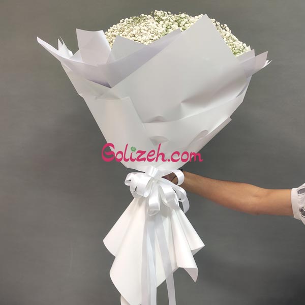 گل ژیپسوفیلیا سفید رنگ با کاغذ سفید