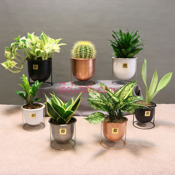 هدیه تبلیغاتی گلدان معلق