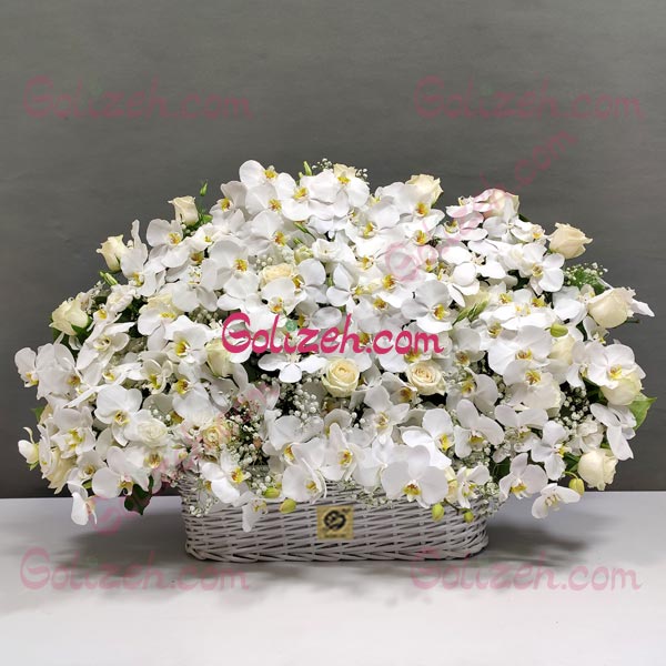 سبد گل ارکیده