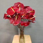 قیمت گل آنتوریوم طبیعی قرمز جیگری