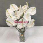 قیمت خرید گل آنتوریوم سفید