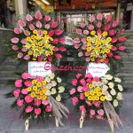 گل-نمایشگاهی-ایران-مال تهران