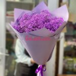 گل عروس بنفش