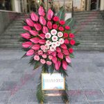 گل برای خیابان صدرا تهران