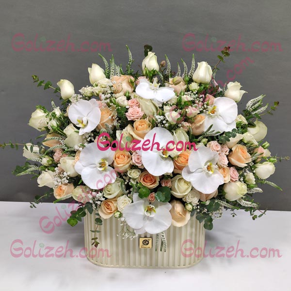 باکس گل بله برون نفس با ارکیده سفید