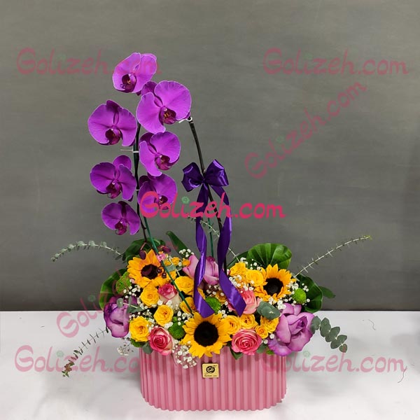 تصویر ارکیده ویولت 